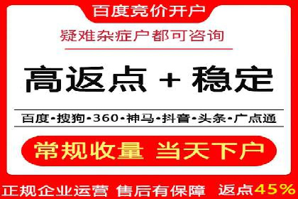 行业领先企业的SEM广告策略与效果分析